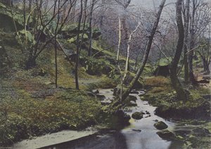 Vaux de Cernay, Las Cascadas de (after) French Photographer