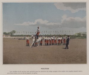 Volteo