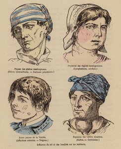 Influencia del Sol y de la situación geográfica en las personas (grabado coloreado) de (after) French School