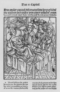 El libro de Cirurgia de Hieronymus Brunschwig de (after) German School