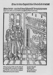 El libro de Cirugía de Hieronymus Brunschwig de (after) German School