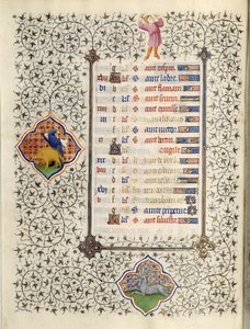 Página del manuscrito 