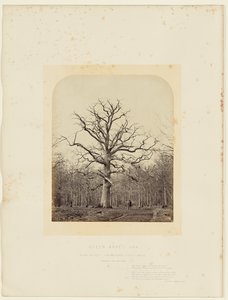 Roble de la Reina Ana de 14th Earl of Caithness James Sinclair
