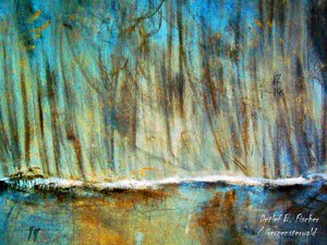 Bosque encantado