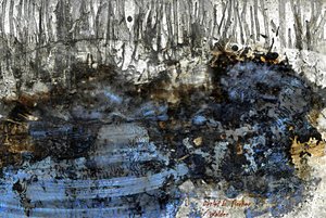 Walden de Detlef B. Fischer