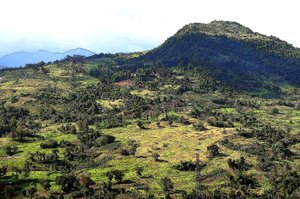 Cebú Hills