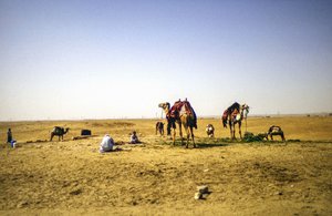 En el desierto