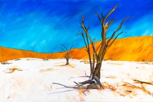 Vlei muerto de H.Opitz