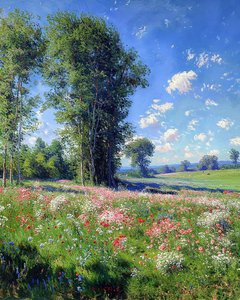 Hermosa vista en un día soleado, la naturaleza y los árboles, Wall Decor en venta de F. Abderrahim