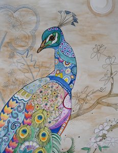 Pavo real orgulloso