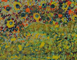 Sinfonía floral. de Margareta Uliarte