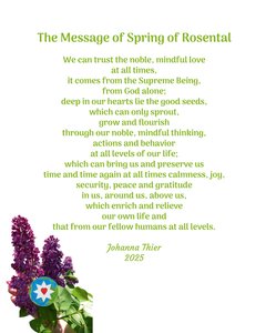 The Message of Spring of Rosental de Johanna Thier