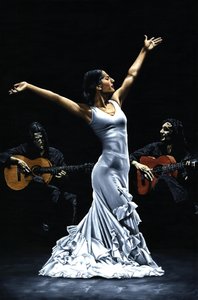 Finale del funcionamiento del flamenco