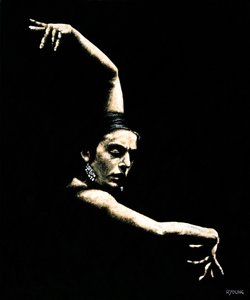 Brazos flamencos de Richard Young