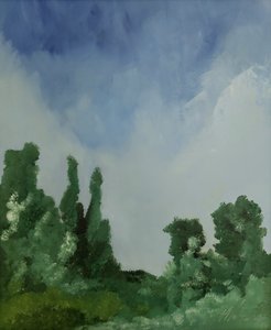 Nubes sobre el bosque de M. Vet