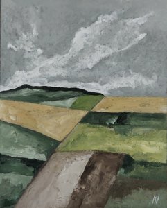Campos de M. Vet
