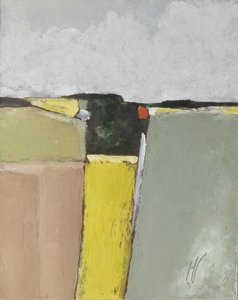 Campos de patrón regular de M. Vet