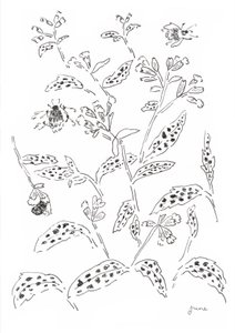 Estudio sobre los abejorros y las flores silvestres de june art
