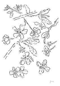 Estudio de Blossom Ink de june art