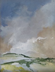 Paisaje disuelto de M. Vet