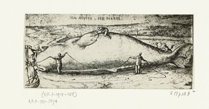 Impresión de la ballena varada cerca de Amberes, 2 de julio de 1577 de A.B. van Deinse