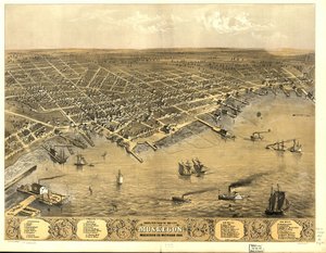 Vista de pájaro de la ciudad de Muskegon, Condado de Muskegon, Michigan 1868.