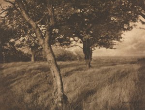 Camera Work: Beyond de A. Horsley Hinton