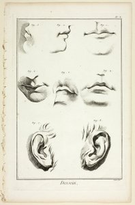 Diseño: Anatomía facial de la Encyclopédie de A. J. Defehrt