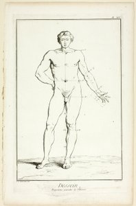 Diseño: Proporciones generales del varón, de Encyclopédie de A. J. Defehrt