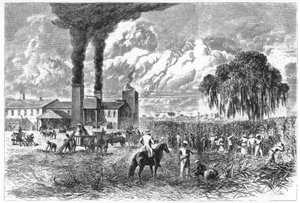 Plantación de azúcar, Nueva Orleans, 1870 de A. R. Ward