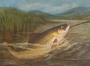 La red del pescador con mosca