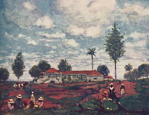Una Fazenda de Café, 1916 de A. S. Forrest