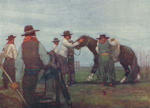 Gauchos domando un caballo joven, 1916 de A. S. Forrest
