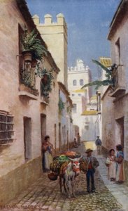 Sevilla, Una calle