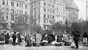 Gran mercado de flores, Budapest, Hungría, 1922 de A. W. Cutler