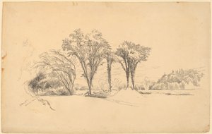 Stowe, Vermont de Aaron Draper Shattuck