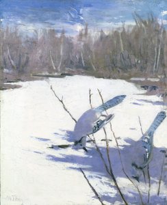 Arrendajos Azules en Invierno, estudio para el libro Coloración Ocultante en el Reino Animal de Abbott Handerson Thayer