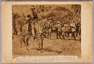 Caballo y crucero camuflados, carpeta de estudio para el libro La coloración oculta en el reino animal de Abbott Handerson Thayer