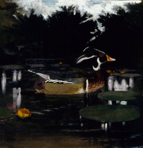 Pato carpintero macho en un estanque del bosque, boceto para el libro «El camuflaje en el reino animal» de Abbott Handerson Thayer