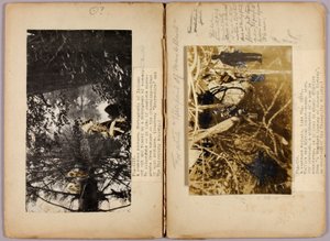 N. Indios americanos, carpeta de estudio para el libro La coloración oculta en el reino animal