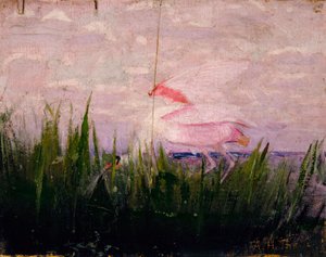 Espátula rosada, estudio para el libro Concealing Coloration in the Animal Kingdom, ca. 1905-1909 de Abbott Handerson Thayer