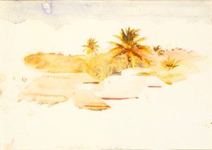 Antillas de Abbott Handerson Thayer