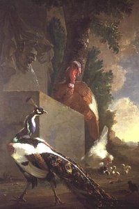 Pájaros junto a una fuente