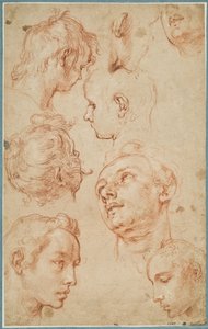 Ocho estudios de cabezas de hombres jóvenes de Abraham Bloemaert