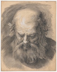 Estudio de la cabeza de un hombre con barba de Abraham Bloemaert