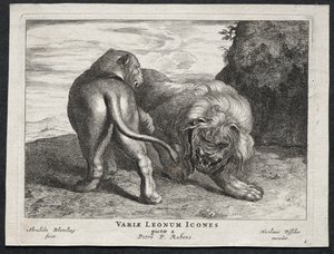 varios leones de Abraham Blooteling