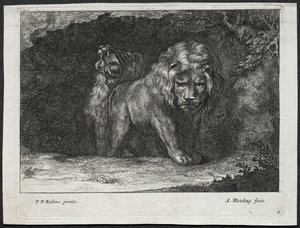 varios leones de Abraham Blooteling