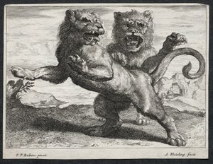 Varios leones de Abraham Blooteling