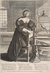 El loro, 1620-76 de Abraham Bosse
