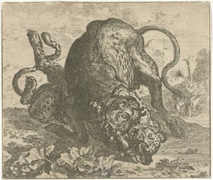 leopardo y toro Diferentes animales (título de la serie) de Abraham Danielsz. Hondius